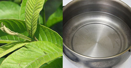 mot nam la oi se khien ban het kho so vi chung hoi mieng - 2